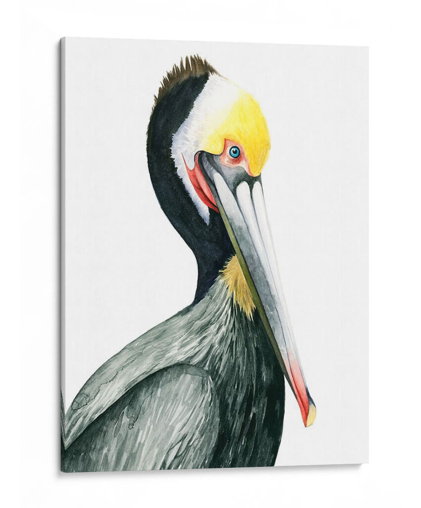 Acuarela Pelícano I - Grace Popp | Cuadro decorativo de Canvas Lab