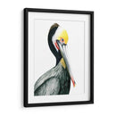 Acuarela Pelícano I - Grace Popp | Cuadro decorativo de Canvas Lab