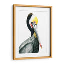 Acuarela Pelícano I - Grace Popp | Cuadro decorativo de Canvas Lab