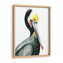 Acuarela Pelícano I - Grace Popp | Cuadro decorativo de Canvas Lab
