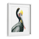 Acuarela Pelícano I - Grace Popp | Cuadro decorativo de Canvas Lab