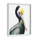 Acuarela Pelícano I - Grace Popp | Cuadro decorativo de Canvas Lab