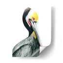 Acuarela Pelícano I - Grace Popp | Cuadro decorativo de Canvas Lab