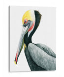 Acuarela Pelican Ii - Grace Popp | Cuadro decorativo de Canvas Lab