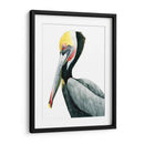 Acuarela Pelican Ii - Grace Popp | Cuadro decorativo de Canvas Lab