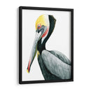 Acuarela Pelican Ii - Grace Popp | Cuadro decorativo de Canvas Lab