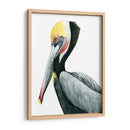 Acuarela Pelican Ii - Grace Popp | Cuadro decorativo de Canvas Lab