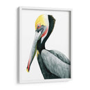 Acuarela Pelican Ii - Grace Popp | Cuadro decorativo de Canvas Lab