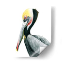 Acuarela Pelican Ii - Grace Popp | Cuadro decorativo de Canvas Lab