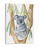Woodland Koala I - Jacob Green | Cuadro decorativo de Canvas Lab