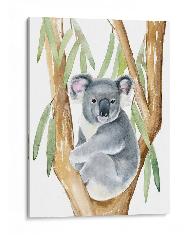 Woodland Koala I - Jacob Green | Cuadro decorativo de Canvas Lab