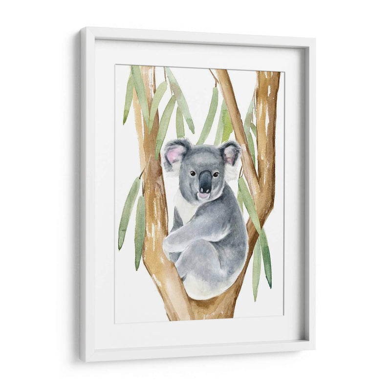 Woodland Koala I - Jacob Green | Cuadro decorativo de Canvas Lab