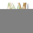 Woodland Koala I - Jacob Green | Cuadro decorativo de Canvas Lab