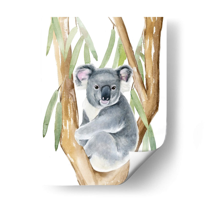 Woodland Koala I - Jacob Green | Cuadro decorativo de Canvas Lab