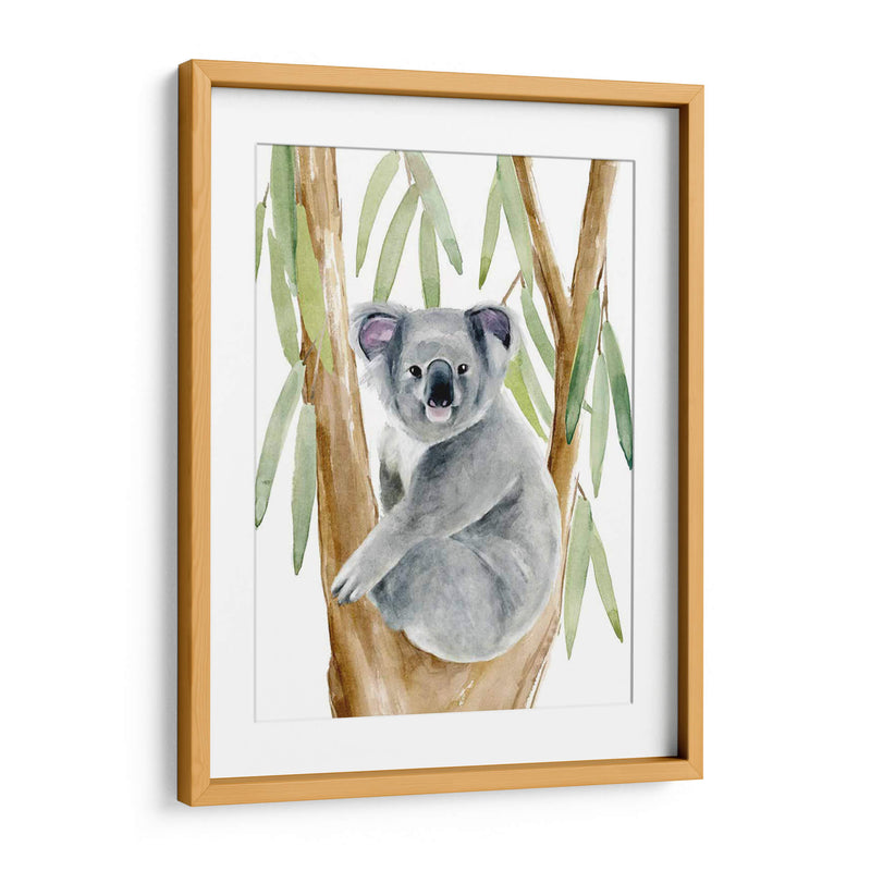 Woodland Koala Ii - Jacob Green | Cuadro decorativo de Canvas Lab