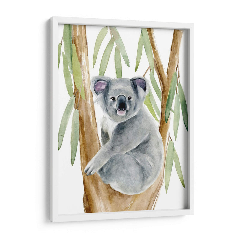 Woodland Koala Ii - Jacob Green | Cuadro decorativo de Canvas Lab