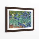 Lirios - Vincent Van Gogh | Cuadro decorativo de Canvas Lab