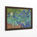 Lirios - Vincent Van Gogh | Cuadro decorativo de Canvas Lab
