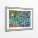 Lirios - Vincent Van Gogh | Cuadro decorativo de Canvas Lab