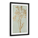 Silueta De Salvia Ii - June Erica Vess | Cuadro decorativo de Canvas Lab