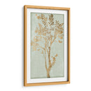 Silueta De Salvia Ii - June Erica Vess | Cuadro decorativo de Canvas Lab