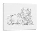 Boceto De Contorno Bisonte I - Ethan Harper | Cuadro decorativo de Canvas Lab