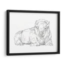 Boceto De Contorno Bisonte I - Ethan Harper | Cuadro decorativo de Canvas Lab
