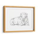 Boceto De Contorno Bisonte I - Ethan Harper | Cuadro decorativo de Canvas Lab