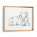 Boceto De Contorno Bisonte I - Ethan Harper | Cuadro decorativo de Canvas Lab