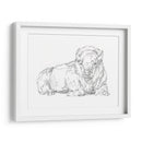 Boceto De Contorno Bisonte I - Ethan Harper | Cuadro decorativo de Canvas Lab