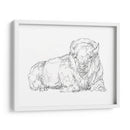 Boceto De Contorno Bisonte I - Ethan Harper | Cuadro decorativo de Canvas Lab