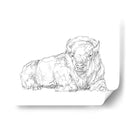 Boceto De Contorno Bisonte I - Ethan Harper | Cuadro decorativo de Canvas Lab