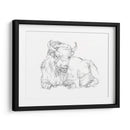 Bison Contorno Boceto Ii - Ethan Harper | Cuadro decorativo de Canvas Lab