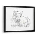 Bison Contorno Boceto Ii - Ethan Harper | Cuadro decorativo de Canvas Lab