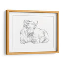 Bison Contorno Boceto Ii - Ethan Harper | Cuadro decorativo de Canvas Lab