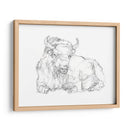 Bison Contorno Boceto Ii - Ethan Harper | Cuadro decorativo de Canvas Lab