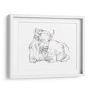 Bison Contorno Boceto Ii - Ethan Harper | Cuadro decorativo de Canvas Lab