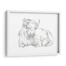 Bison Contorno Boceto Ii - Ethan Harper | Cuadro decorativo de Canvas Lab
