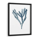 Especímenes De Algas En Blanco I - Naomi McCavitt | Cuadro decorativo de Canvas Lab