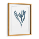 Especímenes De Algas En Blanco I - Naomi McCavitt | Cuadro decorativo de Canvas Lab