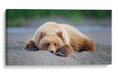 Personalizado Bear Life X - C. Harry Eaton | Cuadro decorativo de Canvas Lab