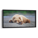 Personalizado Bear Life X - C. Harry Eaton | Cuadro decorativo de Canvas Lab