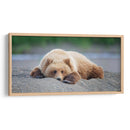 Personalizado Bear Life X - C. Harry Eaton | Cuadro decorativo de Canvas Lab