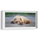 Personalizado Bear Life X - C. Harry Eaton | Cuadro decorativo de Canvas Lab
