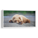 Personalizado Bear Life X - C. Harry Eaton | Cuadro decorativo de Canvas Lab