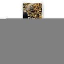 Stock I - Erin Ashley | Cuadro decorativo de Canvas Lab