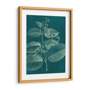 Botánica Moderna Ii - Vision Studio | Cuadro decorativo de Canvas Lab