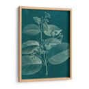 Botánica Moderna Ii - Vision Studio | Cuadro decorativo de Canvas Lab