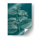 Botánica Moderna Ii - Vision Studio | Cuadro decorativo de Canvas Lab