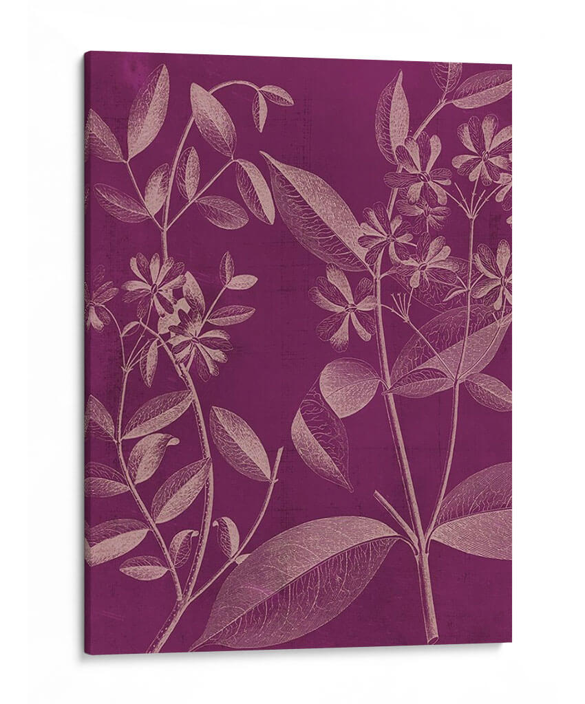 Botánica Moderna Iii - Vision Studio | Cuadro decorativo de Canvas Lab